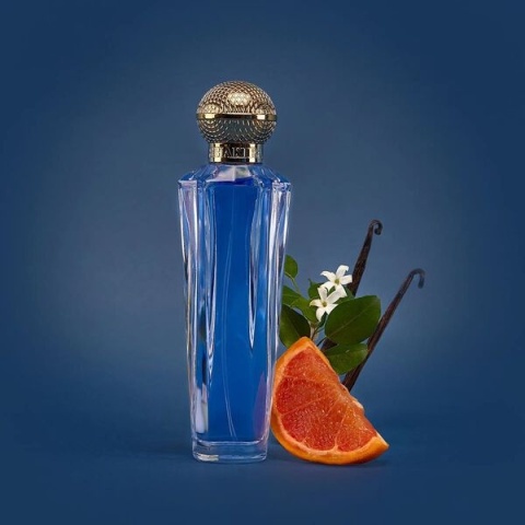 Shakira Dream You Only Live Once 80ml – Woda Toaletowa dla Kobiet