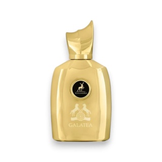 Maison Alhambra Galatea – Woda Perfumowana dla Mężczyzn 100ml