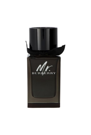 Burberry Mr. Burberry Edp 100ml