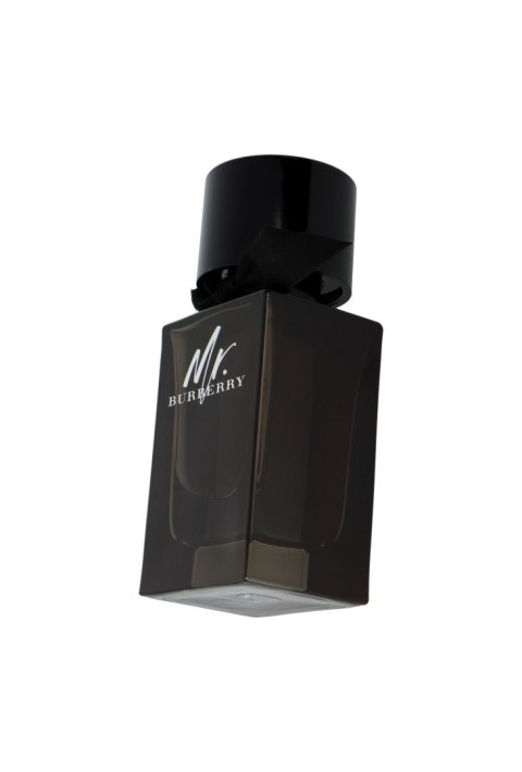 Burberry Mr. Burberry Edp 100ml