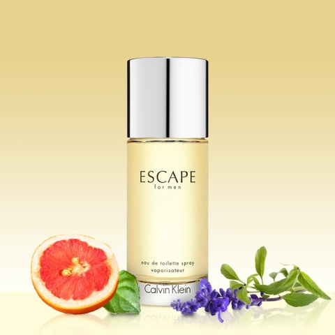 Calvin Klein Escape Men Edt 100ml