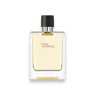 Hermes Terre D`Hermes Edt 100ml