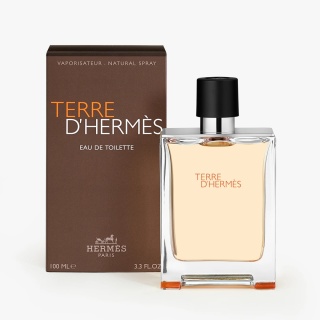 Hermes Terre D`Hermes Edt 100ml